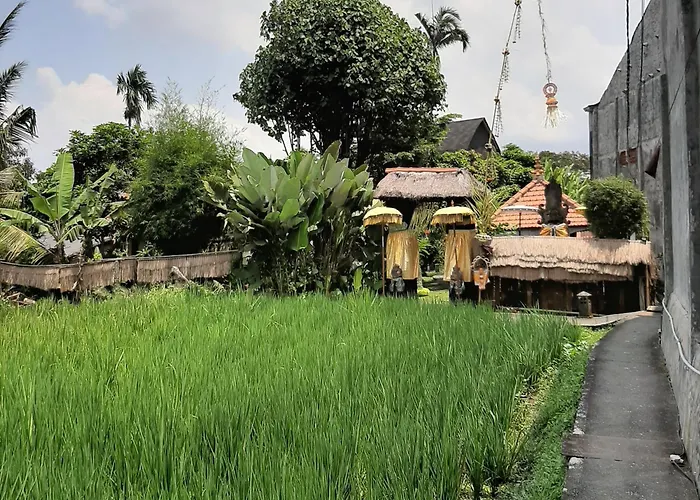 Hidden Yone Village 4* Ubud