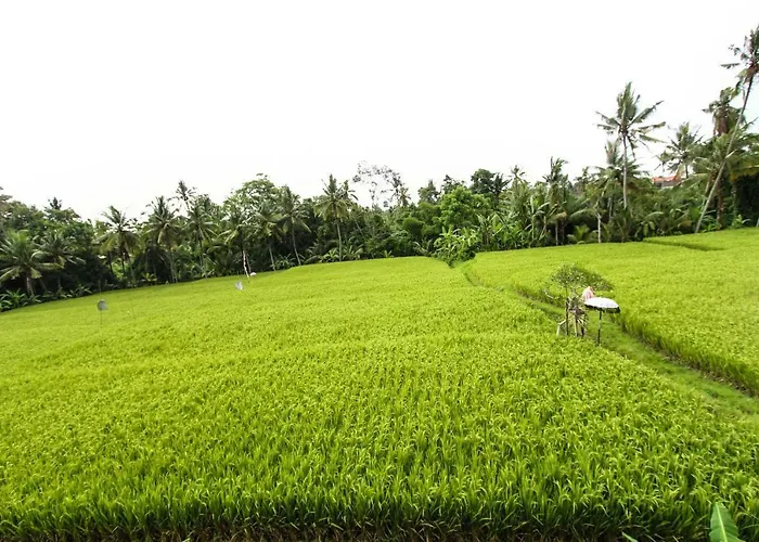 Hidden Yone Village 4* Ubud