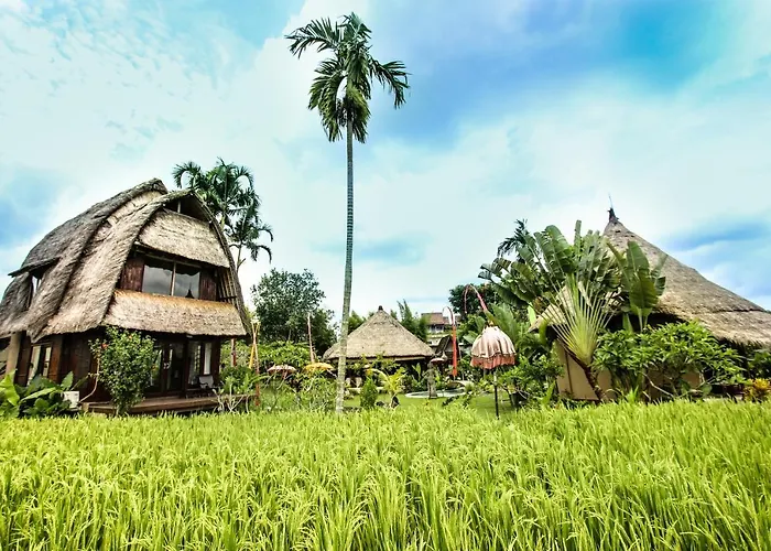 Hidden Yone Village Ubud